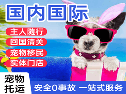 成都双流航空运输国际宠物托运 【国